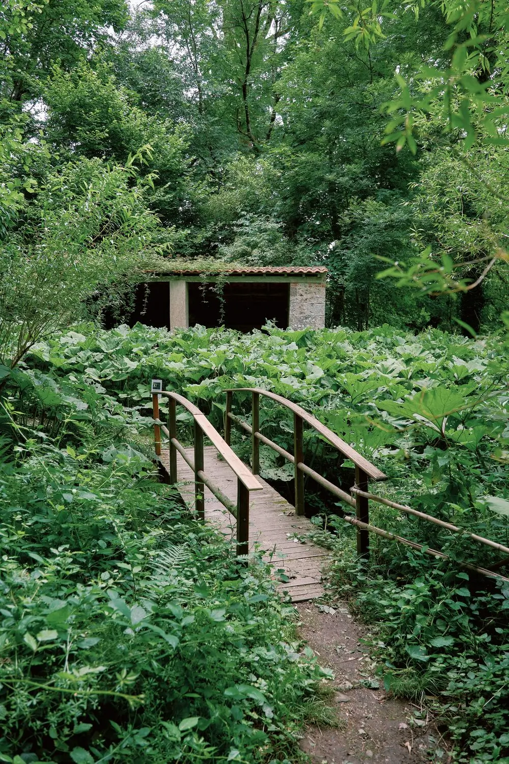 petit pont en bois château