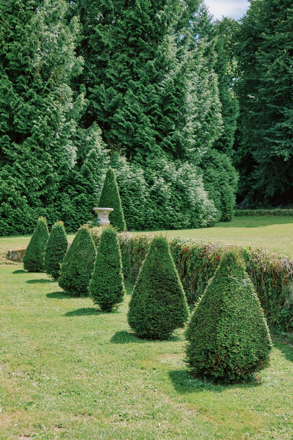 jardin arboré du château