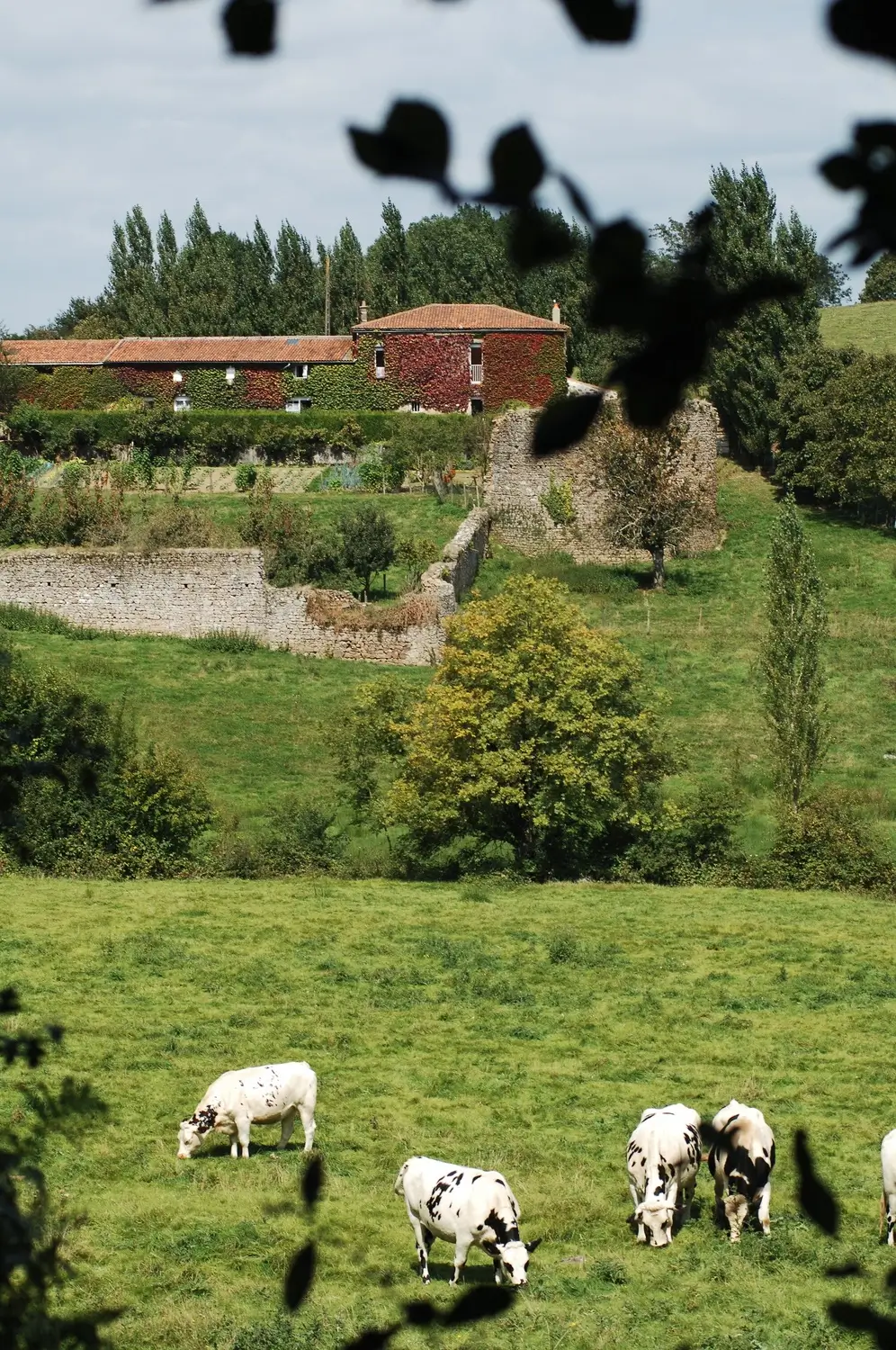 Photo de l'extérieur du Logis