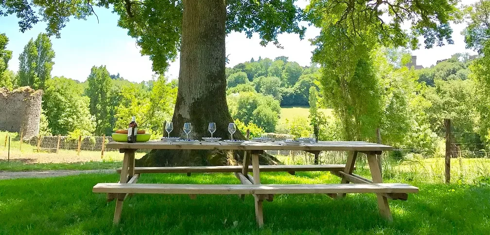 Photo d'une table à l'extérieur du Logis