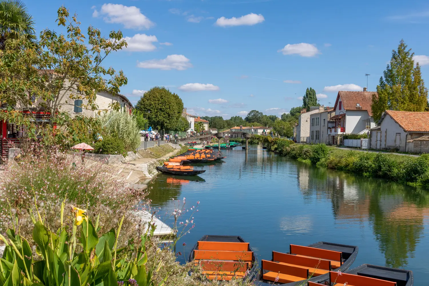 Marais poitevin
