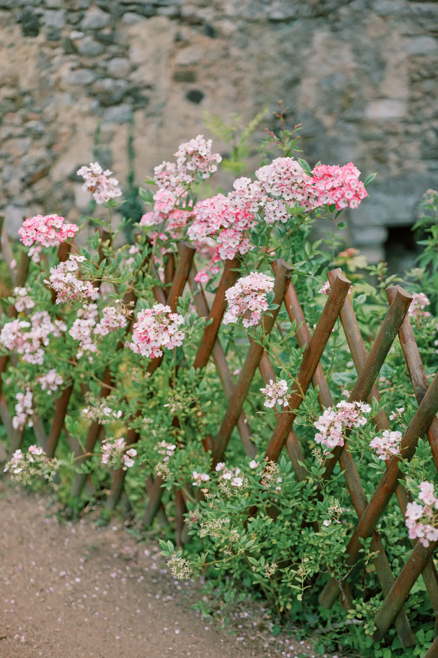 fleurs château