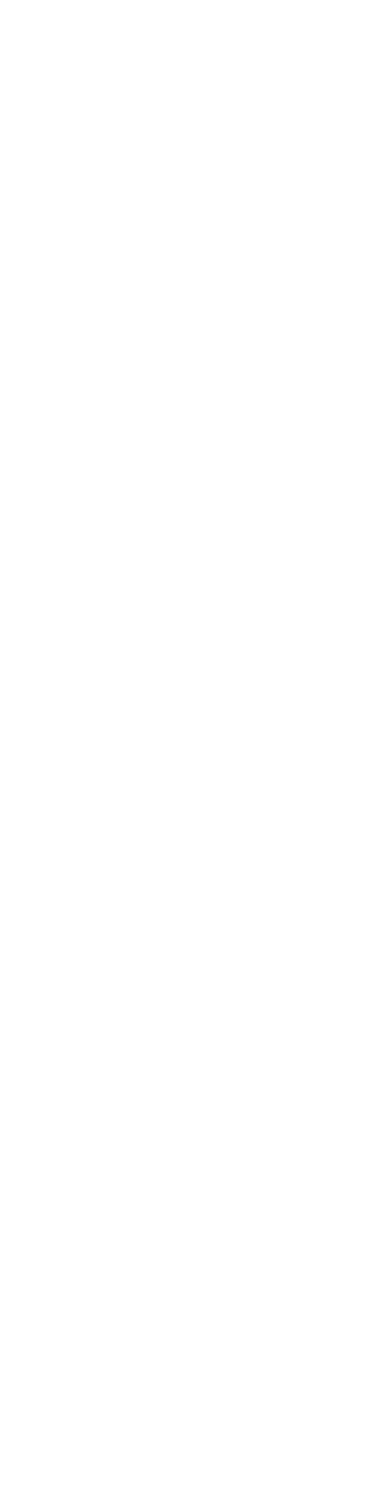 élément décoratif du logo
